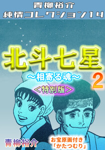 北斗七星2~相寄る魂~<特別版>・青柳裕介純情コレクション14 電子書籍版