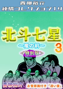 北斗七星3~嵐の前~<特別版>・青柳裕介純情コレクション14 電子書籍版