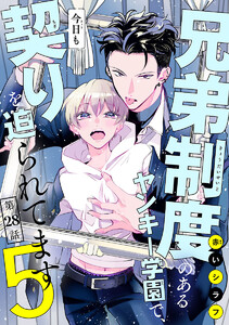 兄弟制度のあるヤンキー学園で、今日も契りを迫られてます #28 電子書籍版