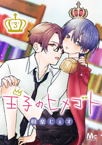 王子のヒメゴト (3) 電子書籍版