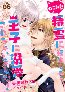 ねこみみ精霊に転生したら、王子に溺愛されちゃいました! (6) 電子書籍版