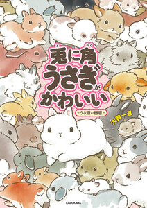 兎に角うさぎがかわいい -うさ道の極意-