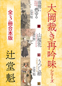 大岡裁き再吟味シリーズ 3冊合本版