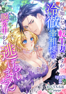 何も知らない転生妻ですが、冷徹宰相様の腕の中から逃げられません【完全版】2