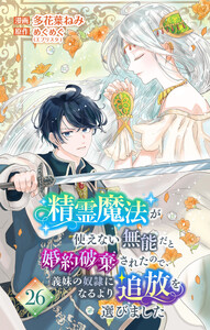 精霊魔法が使えない無能だと婚約破棄されたので、義妹の奴隷になるより追放を選びました (26)