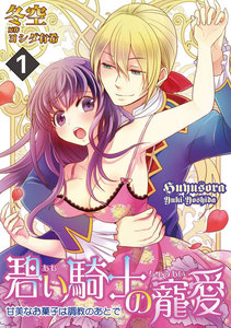 碧い騎士の寵愛~甘美なお菓子は調教のあとで~