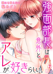 強面部長は意外とアレが好きらしい。~誰にも言えない秘めゴト