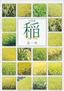 写真集 稲 電子書籍版