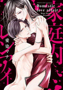 家庭内レンアイ 【電子限定かきおろし漫画付】