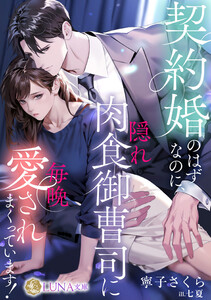 契約婚のはずなのに、隠れ肉食御曹司に毎晩愛されまくっています!