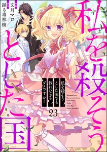 私を殺そうとした国でも救わなきゃダメですか?(分冊版) 【第23話】