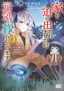 家を追い出されましたが、元気に暮らしています ～チートな魔法と前世知識で快適便利なセカンドライフ!～ 3