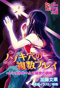 ノゾキ穴の複数プレイ ~レンタルルームで秘密の調教~