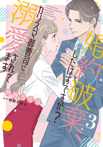 婚約破棄、したはずですが?~カリスマ御曹司に溺愛されてます~【分冊版】3話 電子書籍版