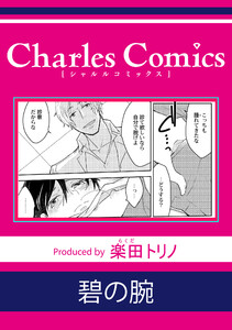 碧の腕 電子書籍版