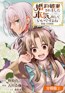 婚約破棄されました 本気出していいですよね THE COMIC【分冊版】 2巻 電子書籍版