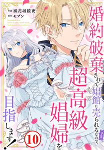 婚約破棄されて娼館に売られる(予定)なので、超高級娼婦を目指します! (10)