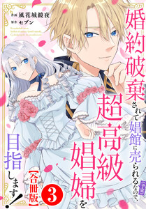 婚約破棄されて娼館に売られる(予定)なので、超高級娼婦を目指します!【合冊版】 (3)