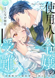 使用人令嬢の受難 ～記憶喪失の婚約者と二度目の恋～【描き下ろしおまけ付き特装版】 (3) 電子書籍版