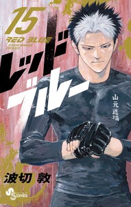 レッドブルー (15) 電子書籍版