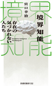 境界知能 存在の気づかれない人たち 電子書籍版