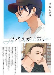 ツバメが一羽、