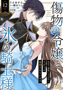 傷物令嬢と氷の騎士様～前世で護衛した少年に今世では溺愛されています～ (12)