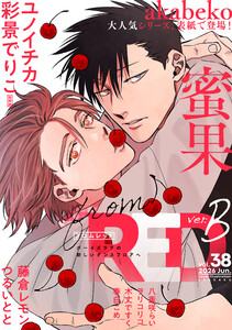 from RED vol.38 ver.B 電子書籍版