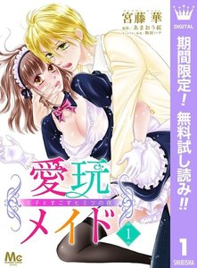 愛玩メイド 王子とすごすヒミツの夜