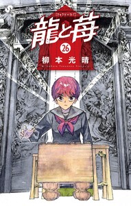 龍と苺 (26)