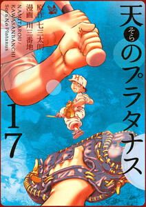 天のプラタナス 17巻 電子書籍版