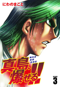 陣内流柔術流浪伝 真島、爆ぜる!!(新装版) (3) 電子書籍版