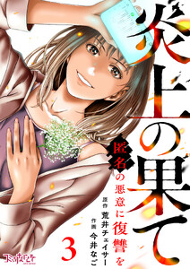 炎上の果て～匿名の悪意に復讐を～(3) 電子書籍版