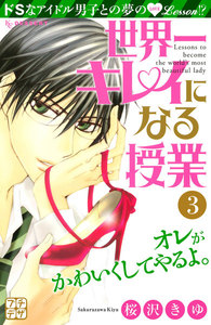 世界一キレイになる授業 プチデザ (3) 電子書籍版