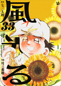 風光る 33巻 電子書籍版