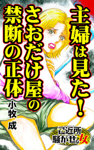 主婦は見た!さおだけ屋の禁断の正体/ご近所騒がせな女たちVol.9 電子書籍版