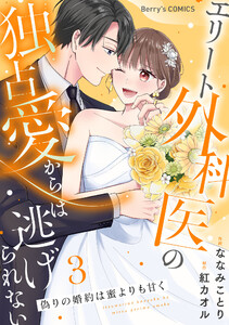 偽りの婚約は蜜よりも甘く~エリート外科医の独占愛からは逃げられない~3巻 電子書籍版