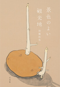 景色のよい観光地