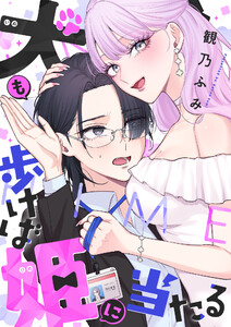 犬も歩けば姫に当たる (4)