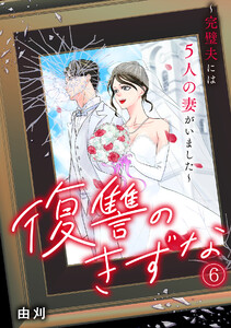 復讐のきずな～完璧夫には5人の妻がいました～(6)
