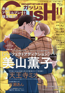 GUSH 2025年11月号 電子書籍版