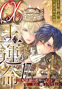 α王の運命～王妃候補の護衛のはずが王の番になりました～ (17)