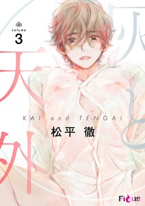 灰と天外 (3) 電子書籍版