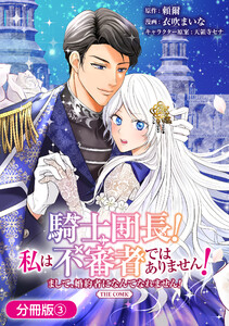 騎士団長! 私は不審者ではありません! まして、婚約者になんてなれません! THE COMIC【分冊版】 3巻 電子書籍版