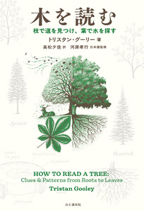 木を読む 枝で道を見つけ、葉で水を探す