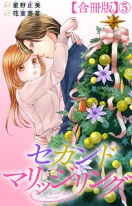 セカンドマリッジリング【合冊版】 (5)