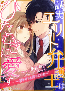 誠実エリート弁護士はひたむきに愛す~君をずっと待っていた~