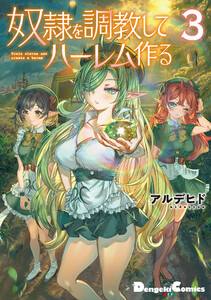 奴隷を調教してハーレム作る (3) 電子書籍版