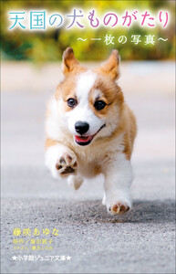 小学館ジュニア文庫 天国の犬ものがたり～一枚の写真～