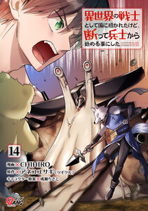 異世界の戦士として国に招かれたけど、断って兵士から始める事にした (14)